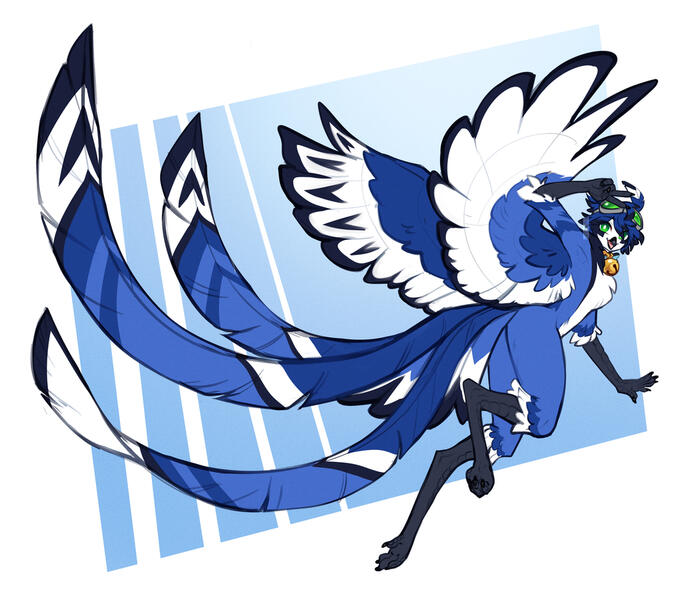 sketch bird sketch bird