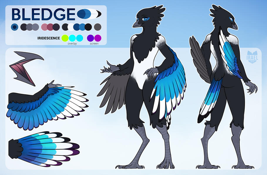 fullref bledge fullref bledge